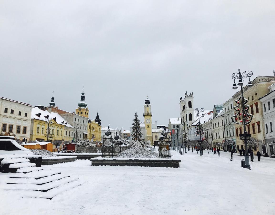 Bl - The Penthouse, 24Hr Self Check-In, 2 Bedrooms, Fireplace, Ac, Panoramic View From Main Balcony, 3-Minute Walk To City Center Banská Bystrica Eksteriør bilde